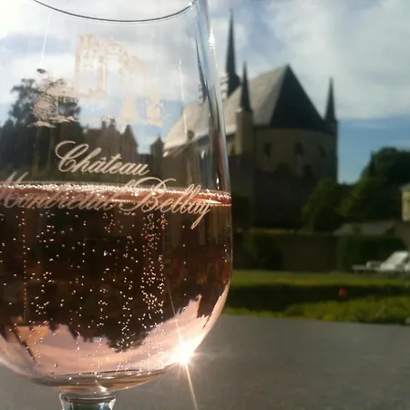 Le Relais Du Bellay Отель Монрёй-Беле